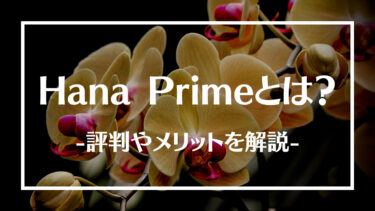 Hana Primeとは？評判や口コミ、料金やメリットデメリットについて解説