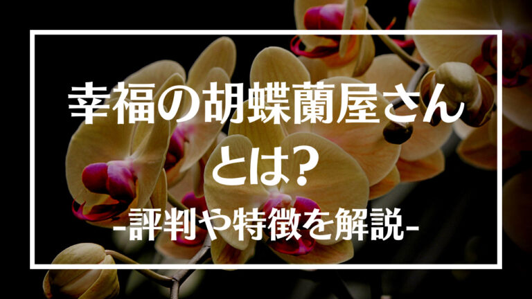 幸福の胡蝶蘭屋さん