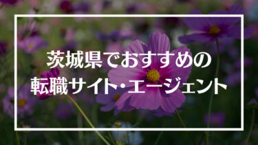 茨城県でおすすめの転職サイト・エージェント16選！特徴や選び方、転職の流れやコツを解説