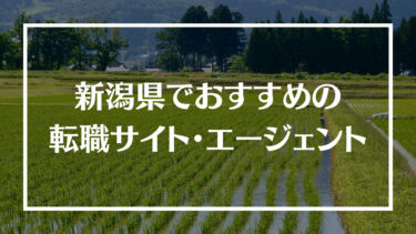 新潟県でおすすめの転職サイト・エージェント16選！特徴や選び方、転職の流れやコツを解説