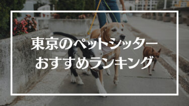 東京でおすすめのペットシッターランキング12選！特徴や評判、費用相場や選ぶ際の注意点を解説