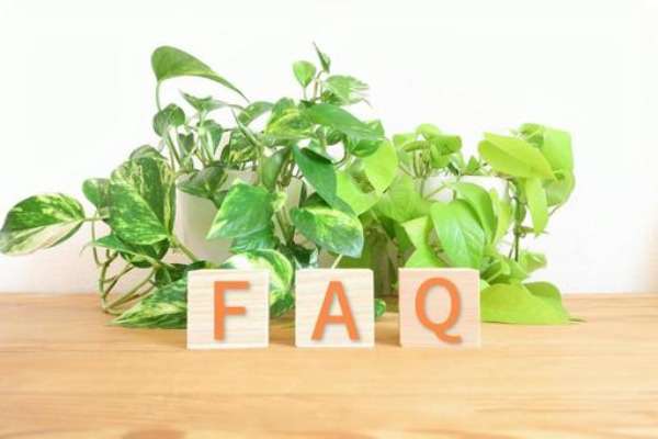 FAQ